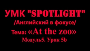 Открытый урок в 5 классе. "At the zoo"